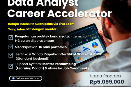 Career Accelator Data Analyst